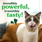 Greenies Feline Natural Crunchy Dental Cat Treats, Salmon Flavor, 21 oz