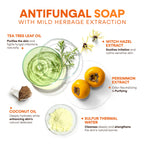 Hermon Antifungal Soap Bar: Antifungal Soap Treatment for Ringworm, Jock Itch & Athlete’s Foot with Tea Tree Oil – Medicated Anti Fungal Tea Tree Bar for Skin Fungus - 8oz / 2Bars