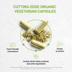 Secrets of the Tribe Wild Yam Capsules 500 mg Responsibly farmed USDA Organic Wild Yam (Dioscorea Villosa) Dried Root, Hormone Support Supplement (120 Capsules)