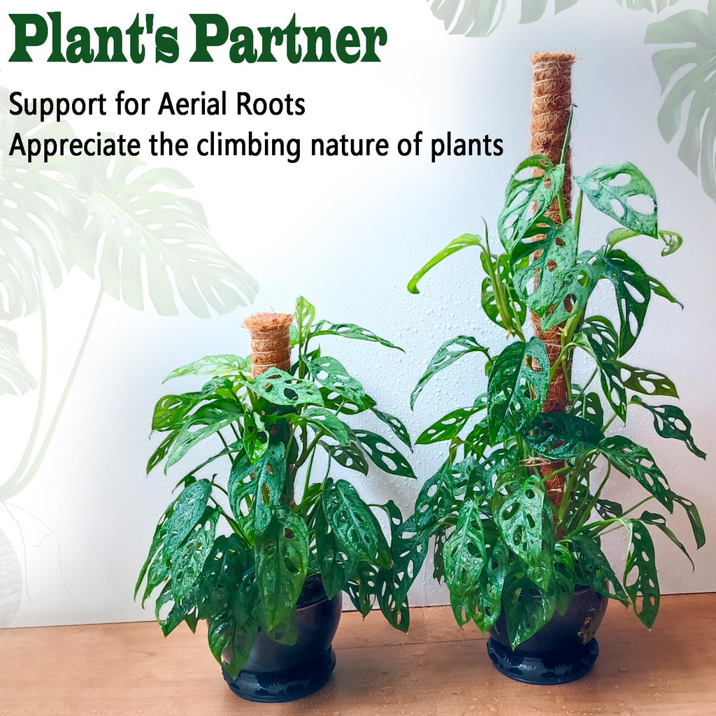 4 Pack 22 Inch Moss Poles, Stackable Moss Pole for Plants Monstera, 70 Inch Tall Moss Poles for Climbing Plants Indoor, Coir Totem Plant Support Stakes Stand for Potted Plants, Pothos