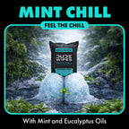 DUDE Wipes Mint Chill Travel Wipes - 6 Packs of 18 (108 Count) - Extra-Large Adult Flushable Wipes - Infused with Tea Tree Oil, Vitamin E, and Aloe - Septic and Sewer Safe