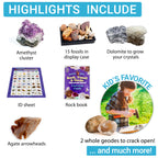 DANCING BEAR Rock, Mineral & Geodes Treasure Hunt Activity Kit (250 Pc Set) Real Shark Teeth Fossils, ID Sheet & Rock Book, STEM