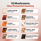 Effective Nutra Mushroom Gummies 2500mg - 10in1 Lion’s Mane, Reishi, Chaga, Cordyceps & More - Focus, Clarity, Memory, Immunity, Energy - Natural Raspberry Flavor, Vegan, Made in USA (90 Count)