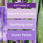 Glade PlugIns Refills Air Freshener,Tranquil Lavender & Aloe,Scented and Essential Oils for Home and Bathroom,0.67 Fl Oz,10 Count (Pack of 2)