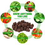 LAPOND 50 Pcs Seed Starter Plugs,Replacement Root Grow Sponges Plant Plugs,Great for Soil, Tray or Planting Pods, Promotes Herbs, Vegetables and Flowers Growth