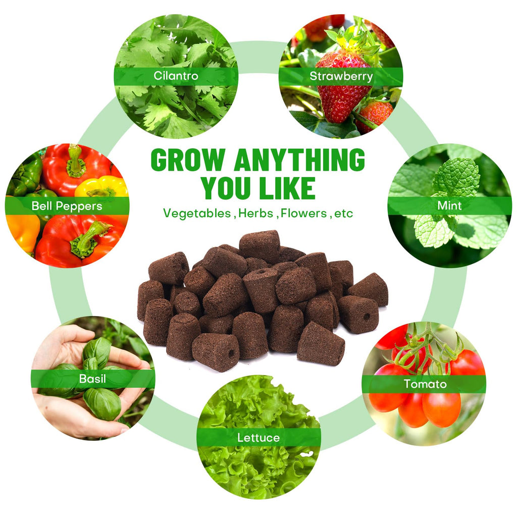LAPOND 40 Pcs Seed Starter Plugs with Tray, Replacement Grow Sponges Plant Plugs, Great for Soil, Tray or Planting Pods, Promotes Herbs, Vegetables and Flowers Growth
