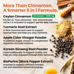 5-in-1 Ceylon Cinnamon Powder Extra Strength – Organic Ceylon Cinnamon Capsules with Turmeric, Apple Cider Vinegar, Korean Ginseng & BioPerine for Metabolism & Energy Support Pills (120 Ct, 2 Pack)