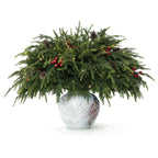 WHANLEY L&Q 20-Piece Set 23" Christmas Norfolk Pine Branches with Lights - Battery Operated Christmas Decorations - Warm Lights -Norfolk Pine Stems for Xmas DIY Crafts Garland Wreath- Christmas Decor