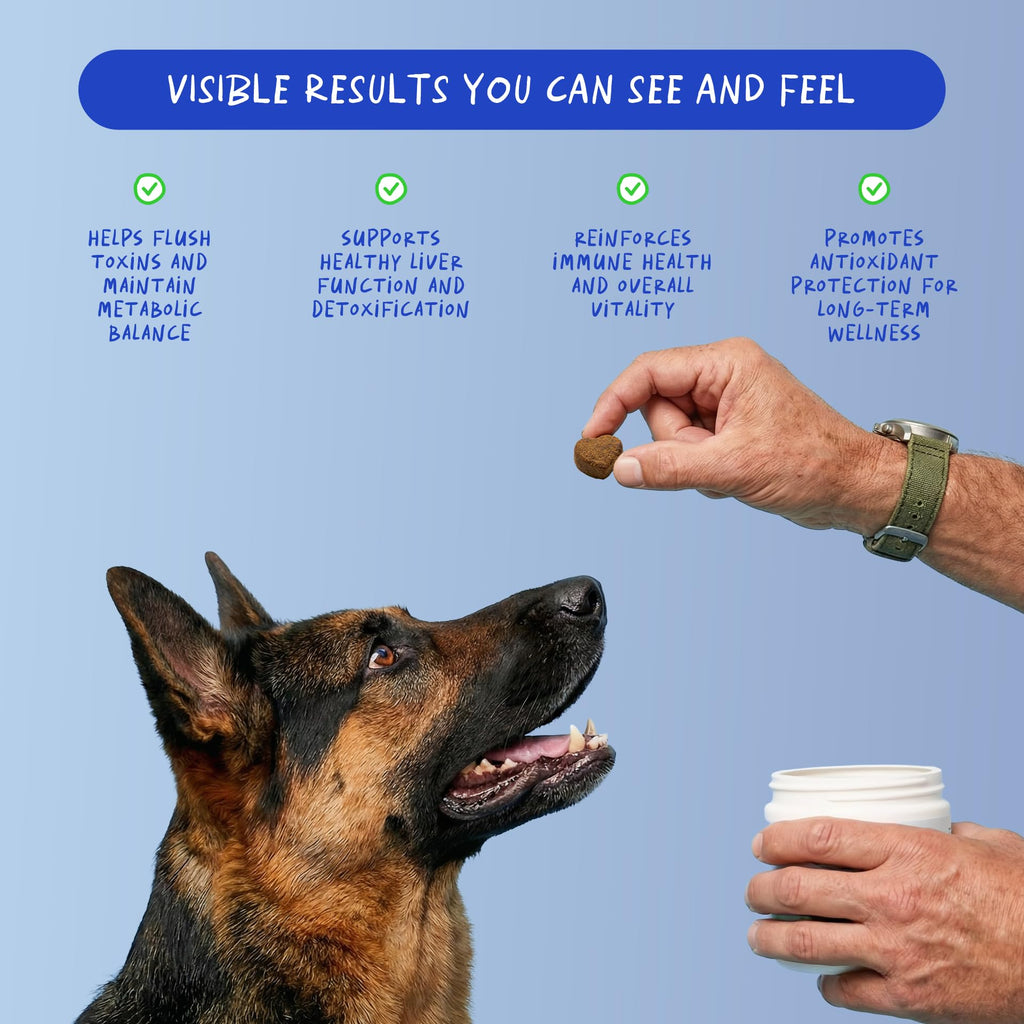 Milk Thistle for Dogs - 90 Soft Chews - Liver and Kidney Support - Hepatic Support with EPA & DHA - Detox - Liver Supplement for Dogs with Choline and L-Arginine.