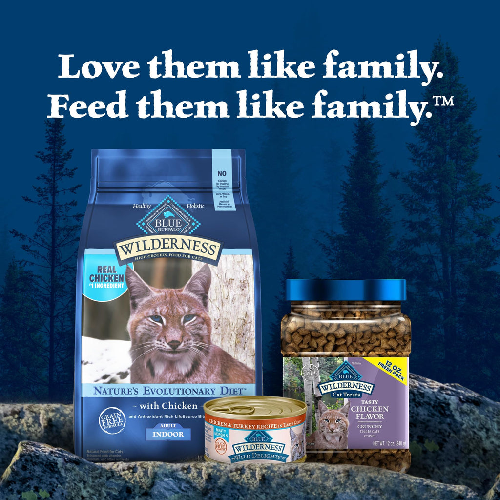 Blue Buffalo Wilderness Chicken Adult Indoor Dry Cat Food, Grain-Free, 5 lb