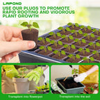 LAPOND 50 Pcs Grow Sponges,Replacement Plant Starter Plugs for Cuttings and Propagation,Great for Soil, Tray or Planting Pods, Promotes Herbs, Vegetables and Flowers Growth