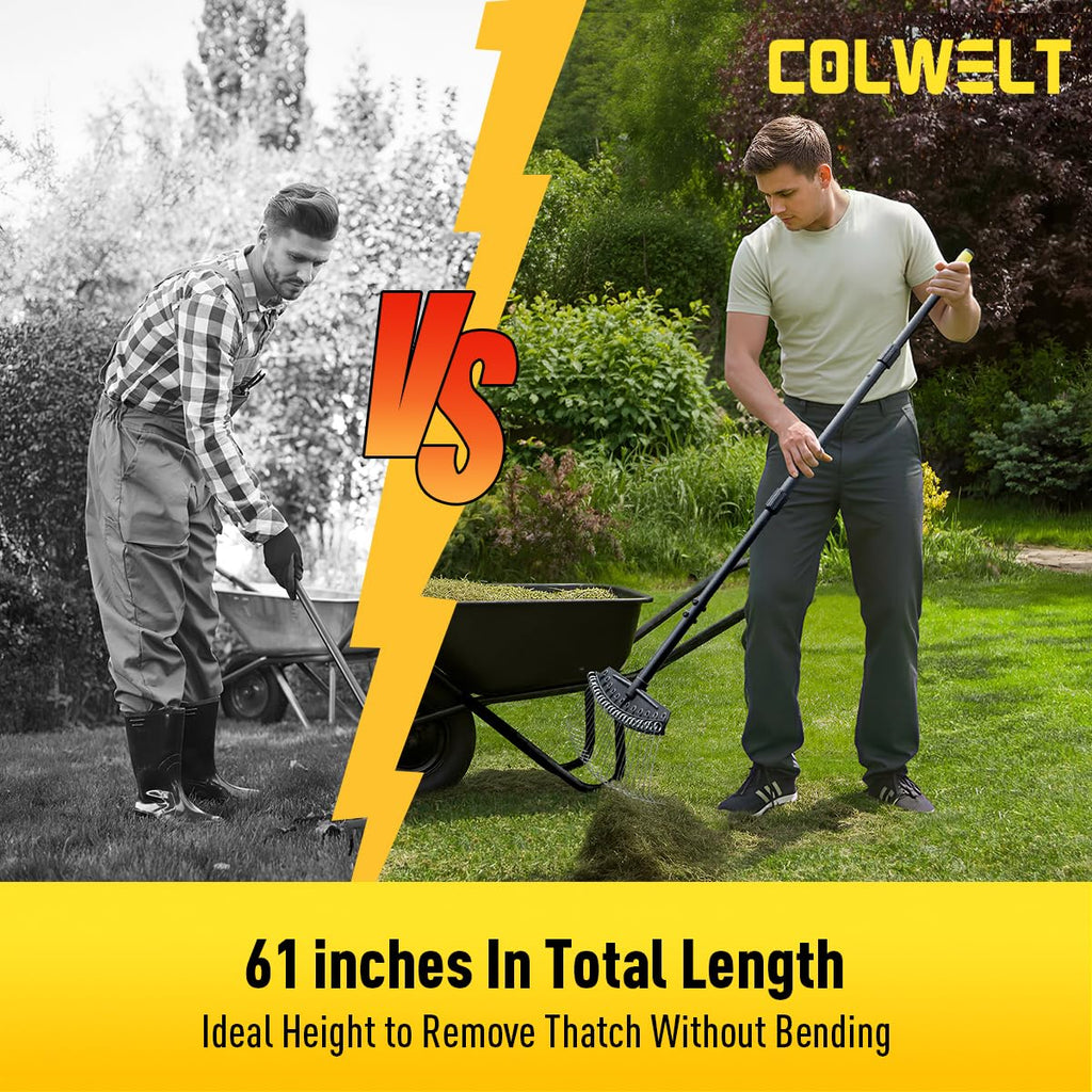 Colwelt Thatch Rake, Dethatcher Rake with Thin, Curved Spring Steel Tines, Dethatching Thatching Rake for Lawns with 61’’ Steel Handle, Lawn Tine Rakes for Pine Needles, Dead Grass, Garden Debris