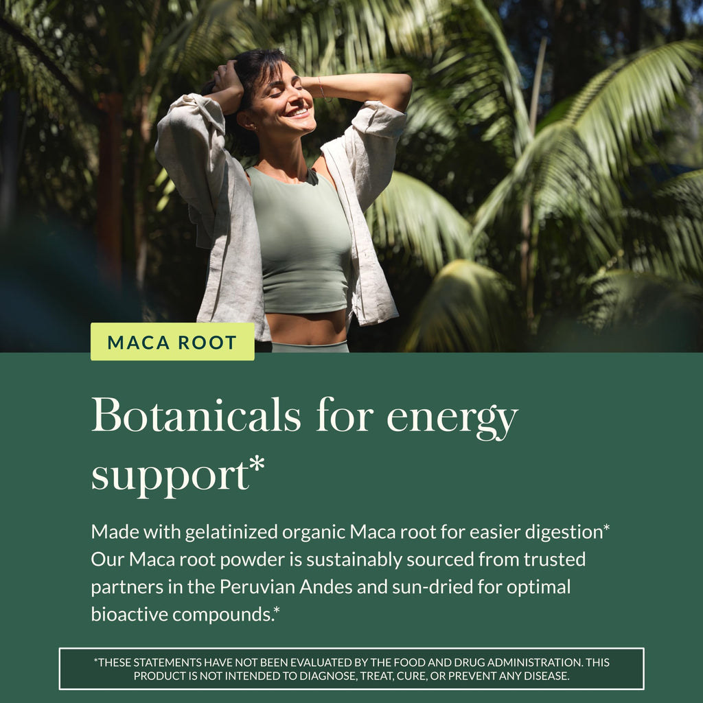 Gaia Herbs Maca Powder - Energy Supplement - Traditionally Used to Support Healthy Energy & Stamina* - Made with USDA Certified Organic Maca Root (Lepidium meyenii) - 8 Oz (69 Servings)