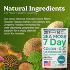Atlantic Naturals Sea Moss 7-Colon Cleanse Powder | Formulated with Psyllium Husk, Fiber, & Senna Powder | Supports Immune & Gut Health for Women & Men, Pineapple Flavor Drink Mix, 14 oz