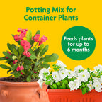 Miracle-Gro Potting Mix, 16 qt. (2-Pack)