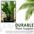 6 Pack Plant Support Stakes, 15.8" Half Round Metal Garden Plant Supports for Indoor Plants, Green Plant Cage Ring for Monstera, Peony, Hydrangea, Potted Plant Holder Sticks (10" Wide)