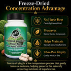 Natural Home Cures Freeze-Dried Nopal Cactus Capsules, Whole Prickly Pear Cactus Powder, Plant-Based Fiber Supplement for Daily Wellness, 500 mg, 120 Vegan Capsules (4 Bottles)