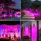T-SUN Purple Solar Spot Lights Outdoor, Solar Black Lights Outdoor,2 Pack
