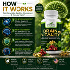 Green Valley Naturals Brain Vitality Plus™ Brain Health Supplement