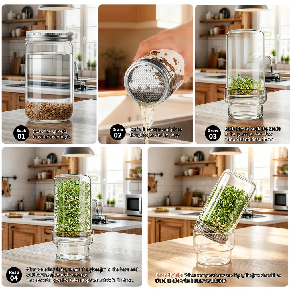 Elitrivox Sprouting Jar Kit, 2 Pack Wide Mouth Quart Mason Jars | Broccoli, Microgreens, Alfalfa Sprout Jar | Perfect for Home Gardeners, Health Enthusiasts & Vegan Diets