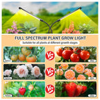 bseah Grow Light Plant Lights for Indoor Plants, Full Spectrum Led Growing Lamp with 3/9/12H Timer, Auto ON & Off, 10 Dimmable Lightness Clip-On Desk