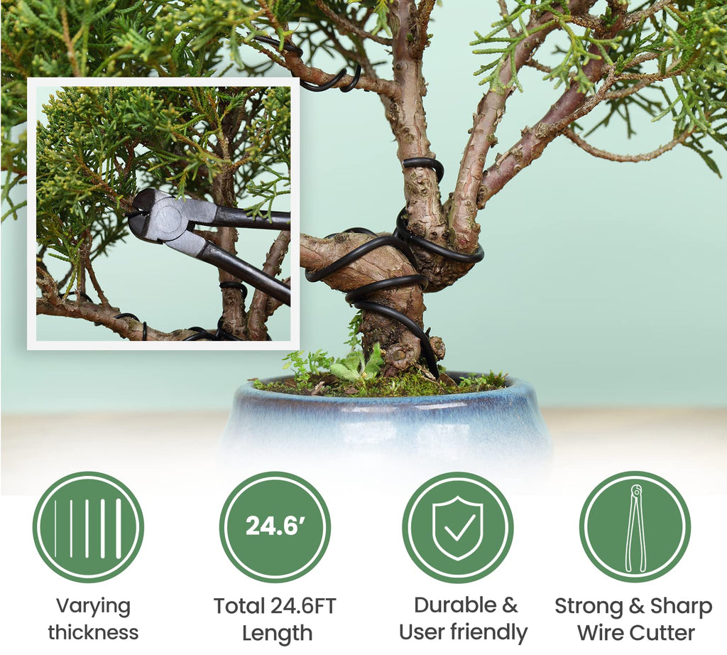 SOLIGT 12-Piece Bonsai Tools Set With Wood Box, Gift For Men Women