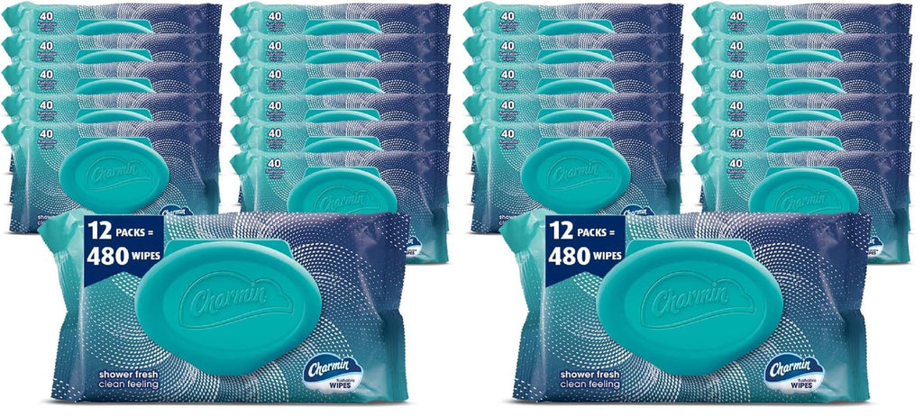 Charmin Flushable Wipes, 960 Total Wipes, 40 Count (Pack of 24)