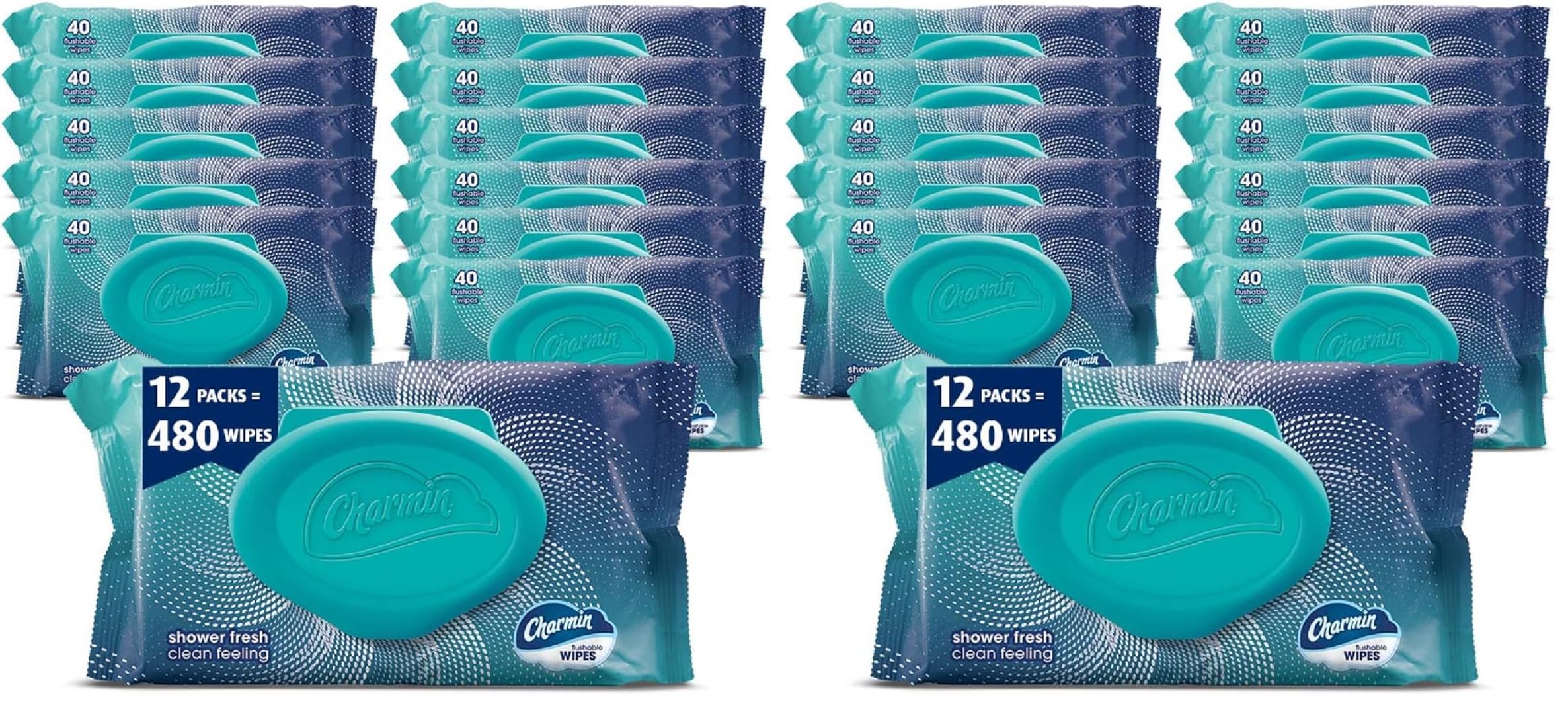 Charmin Flushable Wipes, 960 Total Wipes, 40 Count (Pack of 24)