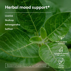 Harker Herbals Stress & Mood Syrup Supplement, Supports Relaxation and Nervousness, with Ashwagandha, Saffron, Skullcap, and Licorice Root - 6.7oz