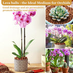 Sunwinx 16LB Organic Leca Clay Pebbles for Plants, 4-16mm Natural Leca Ball