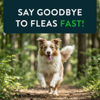 Capstar Oral Flea Tablets Dogs 25+ lbs, Nitenpyram, 6-Dose