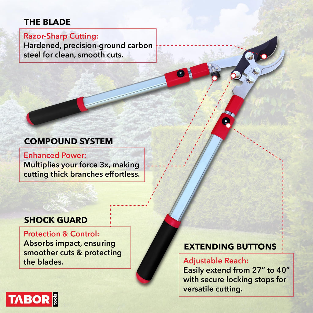 TABOR TOOLS GG21A Extendable Bypass Lopper with Compound Action, 27-40 Inch Telescopic Tree Trimmer & Branch Cutter, Long Reach Tree Pruner with 1 1/2 Inch Cut Capacity, Makes Clean Neat Cuts