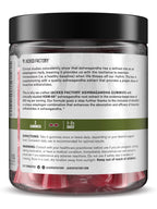 Jacked Factory Ashwagandha Gummies - KSM 66 Ashwagandha Gummies (600mg Per Serving) - Enhance Cognitive Function, Boost Mood, and Promote Hormonal Balance - 120 Gummies, Cherry Splash