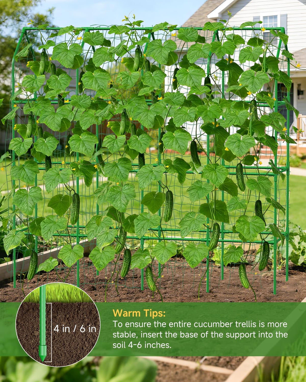 Cucumber Trellis for Climbing Plants Outdoor, A-Shape Garden Trellis for Raised Bed, Metal Plant Trellis with Garden Netting for Flower Vegetables, Pea, Grape ((67 * 17 * 65inch(L*W*H), Trellis)