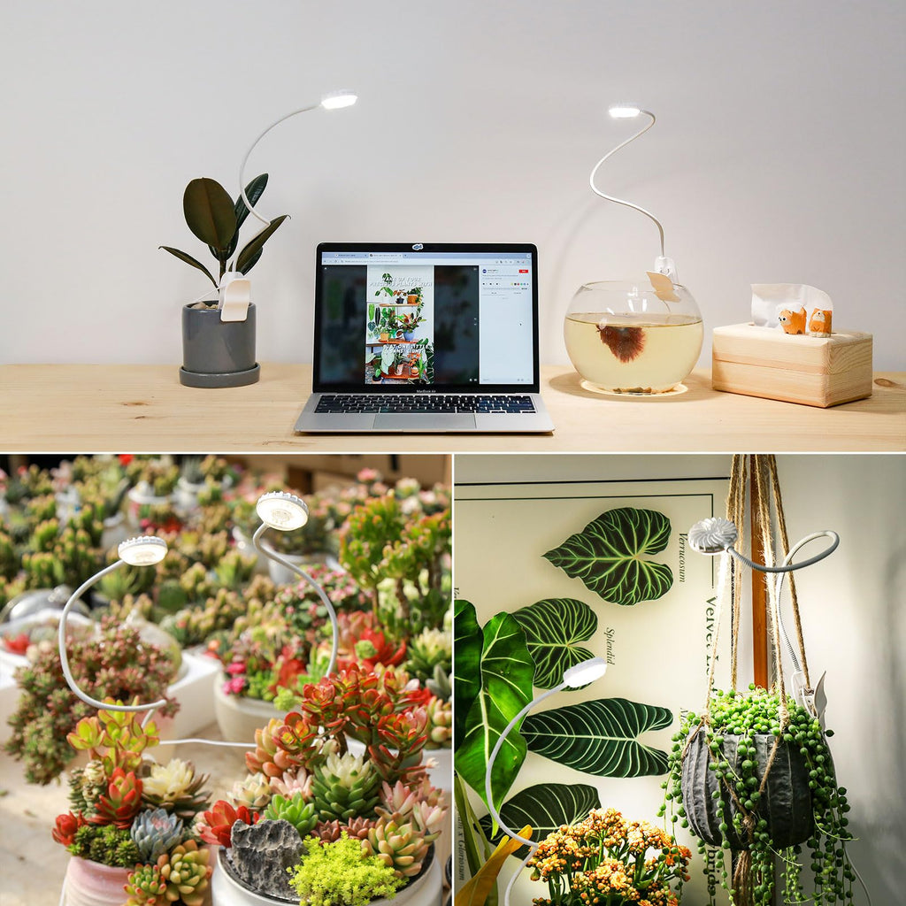SGLEDs Clip-On Grow Lights for Indoor Plants, 2-in-1 Dual Head Timer