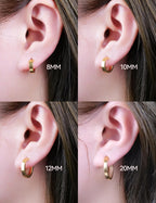 Limerencia G23 Pure Titanium Hypoallergenic Hoop Earrings, F136 Titanium Huggie Studs for Women Sensitive Ears (20 mm hoop silver)