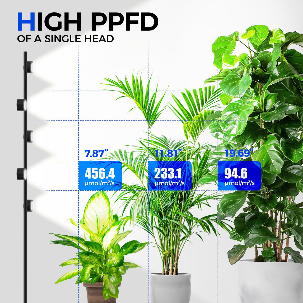 Barrina T1X5 Standing Grow Light for Indoor Plant, 6FT 50W 5000K, High PPFD