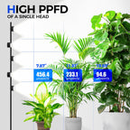 Barrina T1X5 Standing Grow Light for Indoor Plant, 6FT 50W 5000K, High PPFD