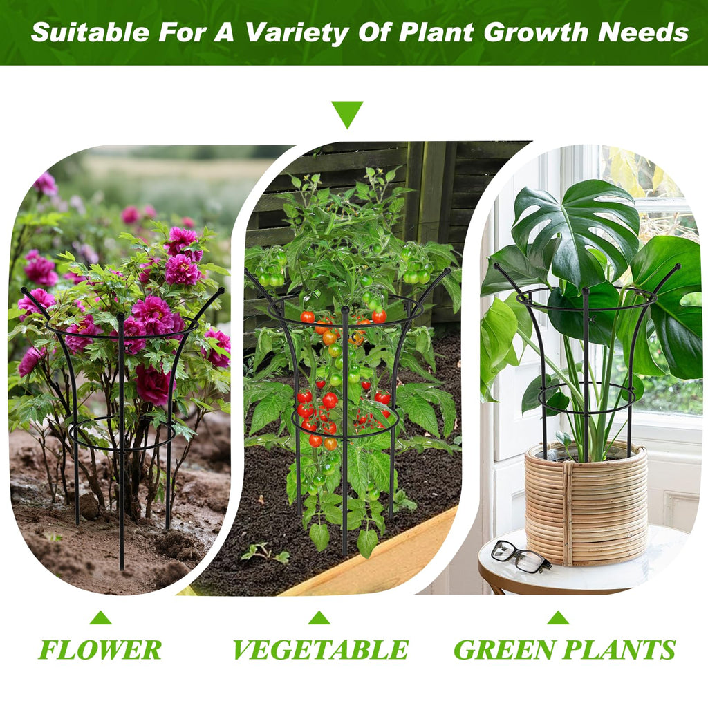4 Pack Peony Cages and Supports, 12.5"Dx24"H Dual-Ring Metal Plant Supports