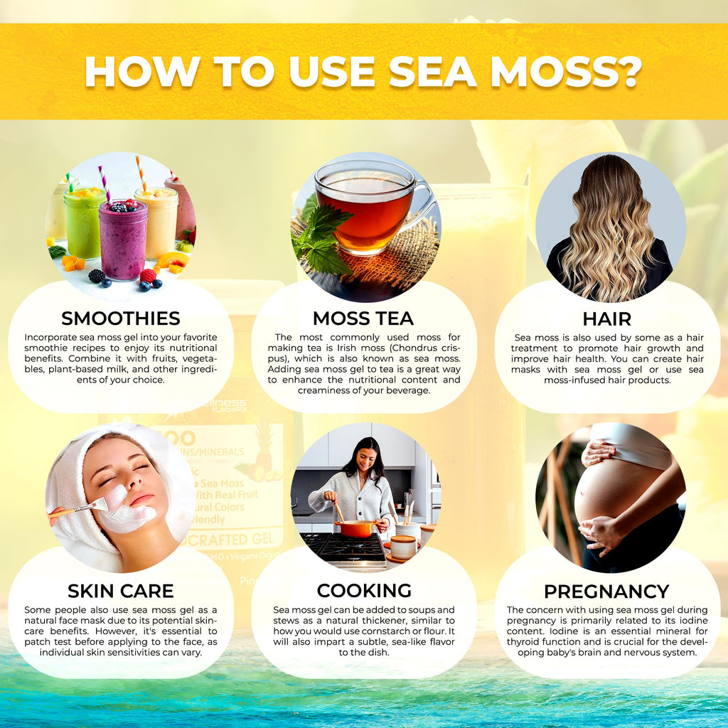 WELLNESS LABSRX Irish Sea Moss Gel Raw - Wildcrafted Superfood Seamoss Gel - Pineapple Flavor, Vitamin and Mineral-Rich from Pristine Caribbean Waters, Immune and Digestive Health Support - 10 oz.
