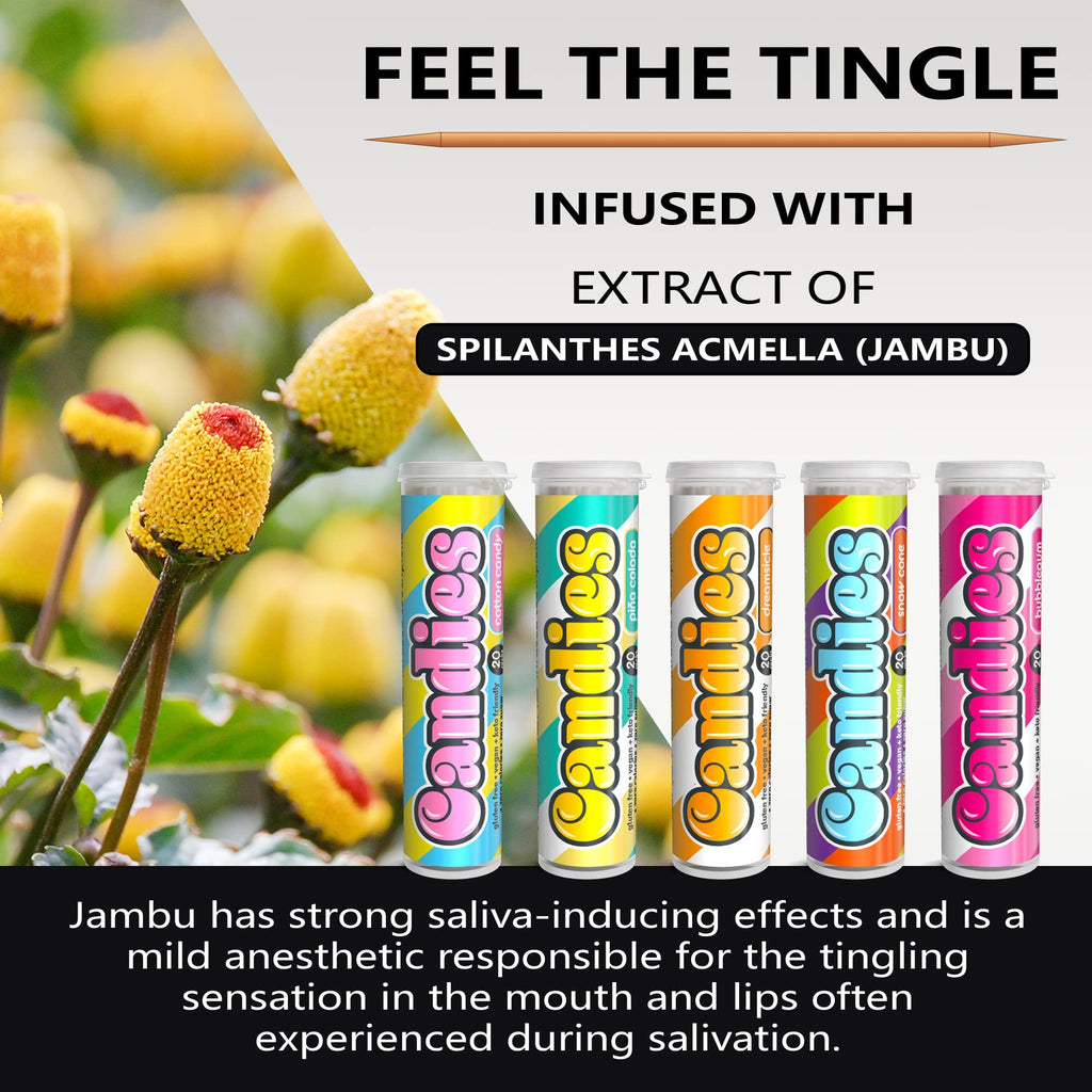 Xero Picks Candies - Infused Flavored Toothpicks (Candies Variety, 5 Pack - 100 Picks) Bubblegum, Pina Colada, Orange Creamsicle, Cotton Candy, Snow Cone and Candy Cane