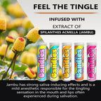 Xero Picks Candies - Infused Flavored Toothpicks (Candies Variety, 5 Pack - 100 Picks) Bubblegum, Pina Colada, Orange Creamsicle, Cotton Candy, Snow Cone and Candy Cane