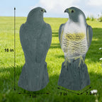 Hausse Scarecrow Eagle Fake Hawk Decoy Statue Scare Birds Away, Plastic Deterrents, Garden Protectors Bird Repellent, Nature Enemy Bird Repellent for Outdoor Garden Yard