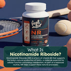 Feelaliv Nicotinamide Riboside (NR) Supplement 1000mg Per Serving | NAD+ Precursor | Cellular Energy & Cognitive Support | Single Ingredient | Clean Label | Vegan | 60 Capsules