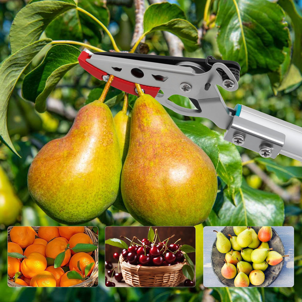 GARTOL 32 Inch Cut and Hold Pole Pruner - Lightweight Long Reach Tree Trimmer with Snip and Grip Technology, 1/2 Inch Cutting Capacity, One-Hand Use Fruit Picker for Roses, Persimmons & Tall Branches
