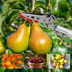 GARTOL 32 Inch Cut and Hold Pole Pruner - Lightweight Long Reach Tree Trimmer with Snip and Grip Technology, 1/2 Inch Cutting Capacity, One-Hand Use Fruit Picker for Roses, Persimmons & Tall Branches