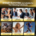 Formula with Pure Himalayan Shilajit, Ashwagandha, and 75% Fulvic Acid | Sugar-Free Vegan, 85+ Trace Minerals