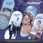 LeafStory Nootropic Brain Supplements for Memory and Focus, Cognitive Function for Mental Health & Clarity, Vitamin B6 B12, Folate & Dihydromyricetin, 60 Capsules