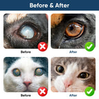 asomooh Cataract Drops for Dogs, Dog Eye Drops, Improve Vision Clarity, Improve Eye Vision and Cataracts(2 x 10 mL)