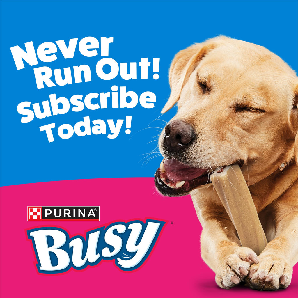 Purina Busy Bone Adult Large Dog Chew Treats, Original, 10 ct Pouch